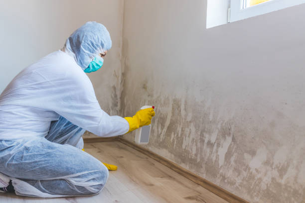 Crawl Space Mold Remediation treatment of floor joists in Lancaster